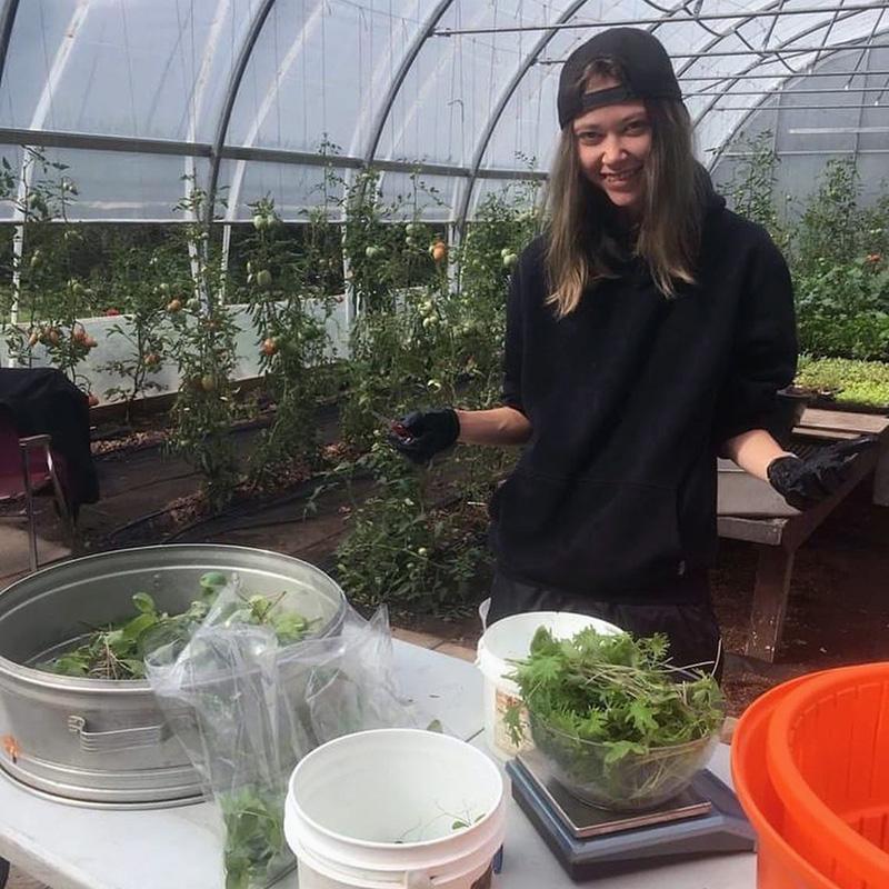 Young person working in a greenhouse.